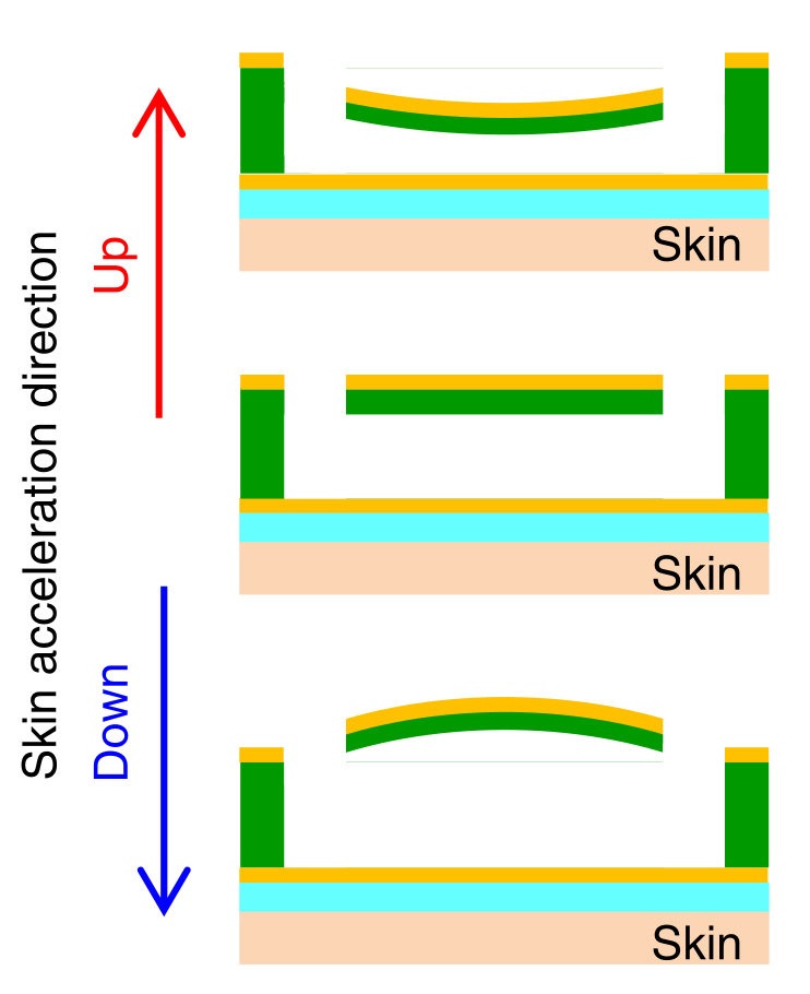 Skin acceleration sensor